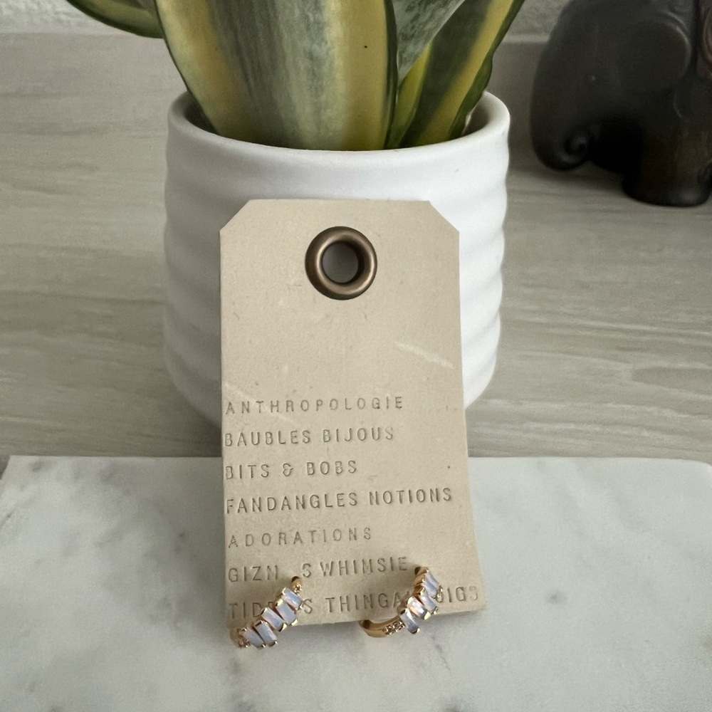 Anthropologie Hoop Earrings